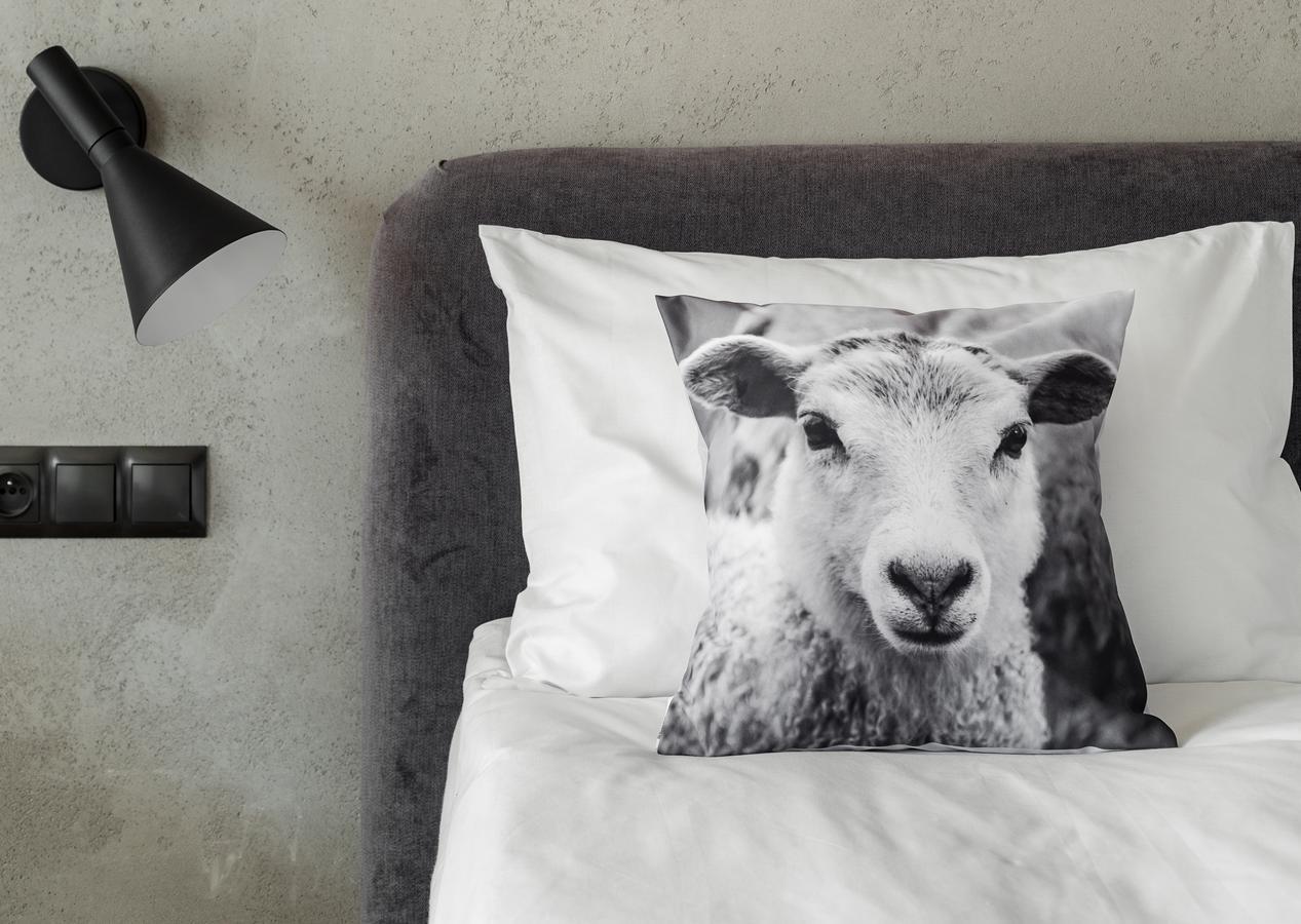 Biala Owca Bed & Breakfast Zakopane Luaran gambar A cushion cover