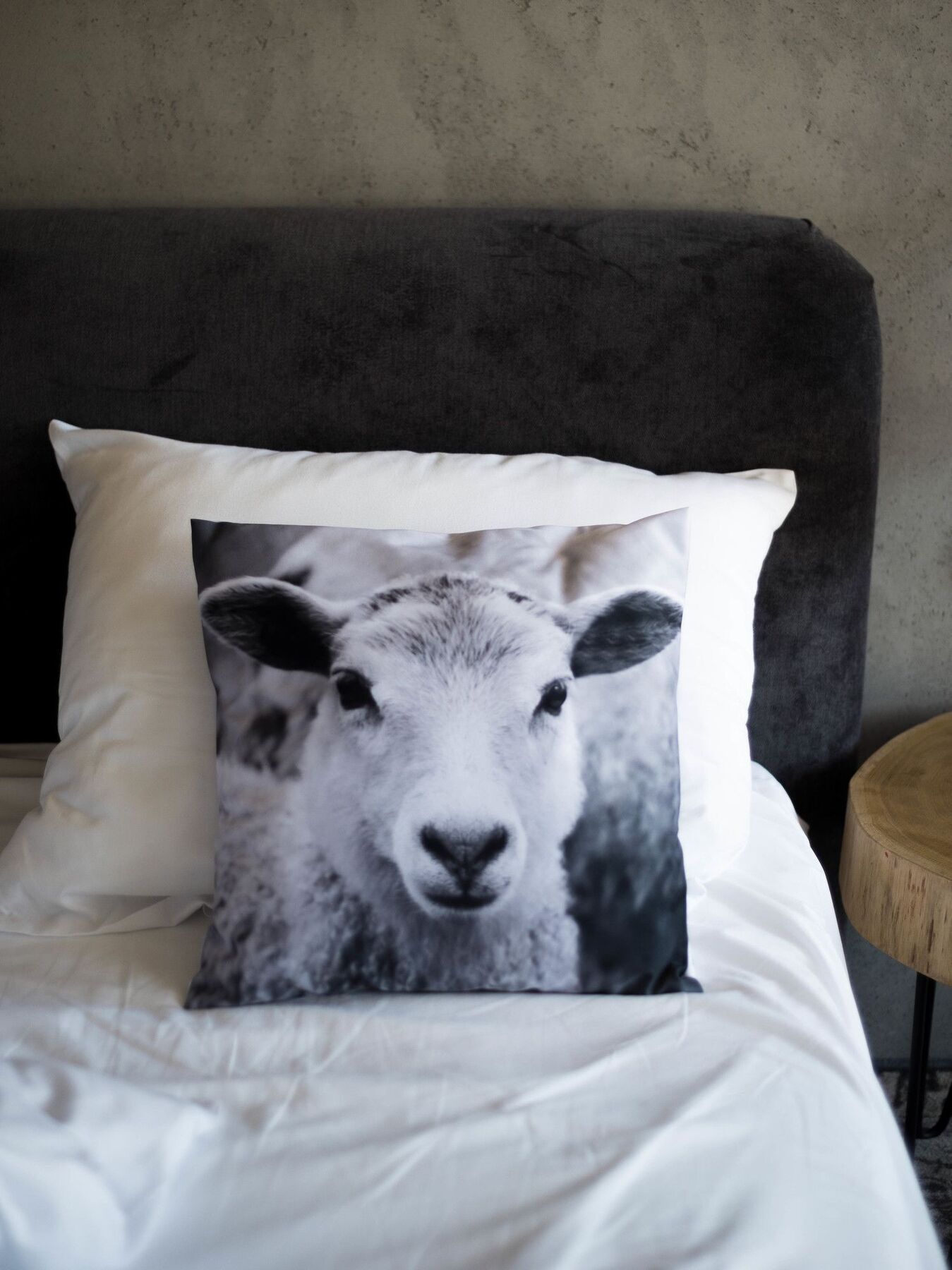 Biala Owca Bed & Breakfast Zakopane Luaran gambar A cushion